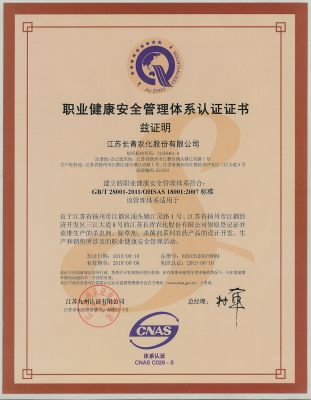 职业健全安全治理系统认证证书